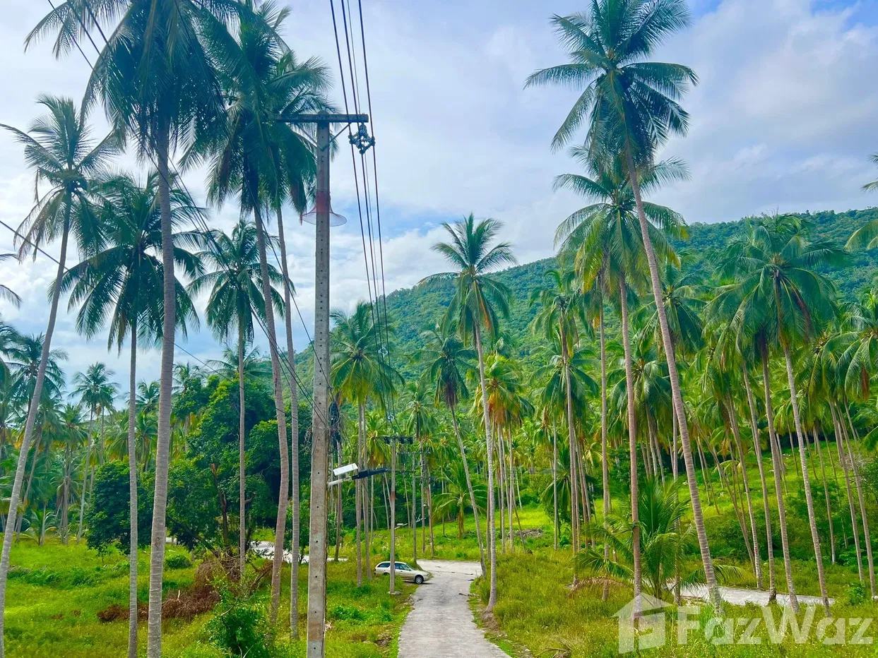 picture Land for sale in Taling Ngam, Surat Thani - 2/6