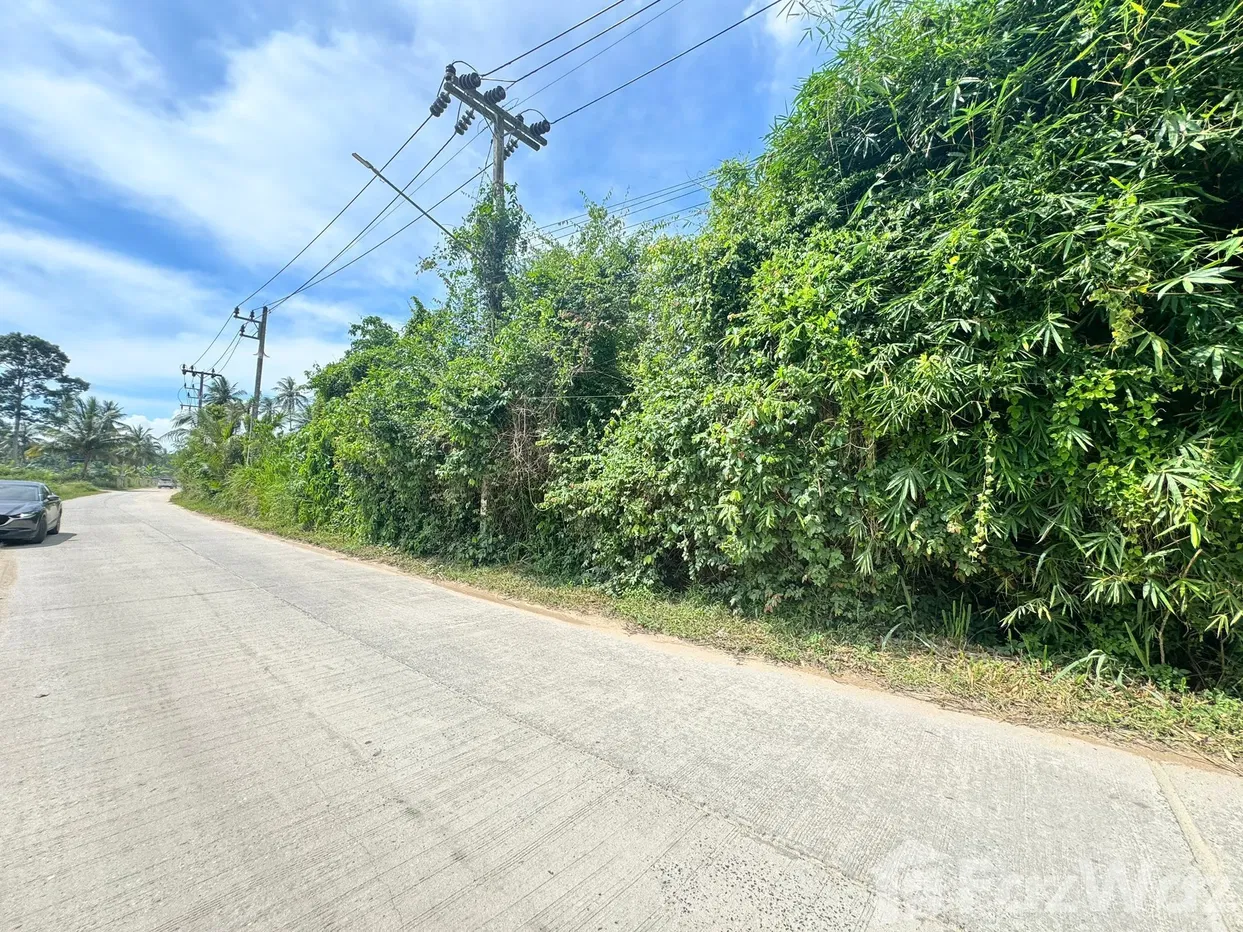 picture Land for sale in Maenam, Surat Thani - 2/16