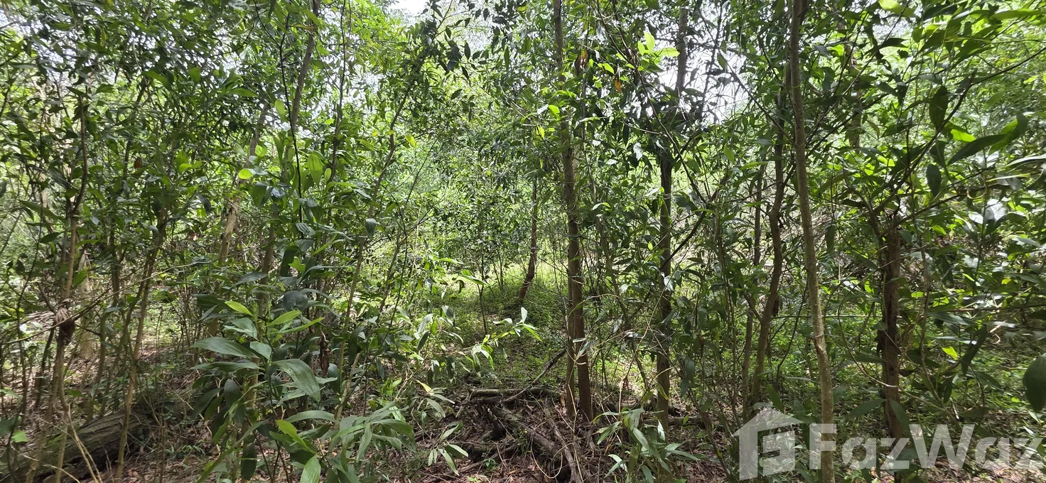 รูป ขาย ที่ดิน ใน ไม้ขาว, ภูเก็ต - รูปที่ 5/16