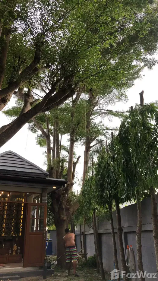 picture 5 Bedroom Villa for sale in Chalong, Phuket - 5/18