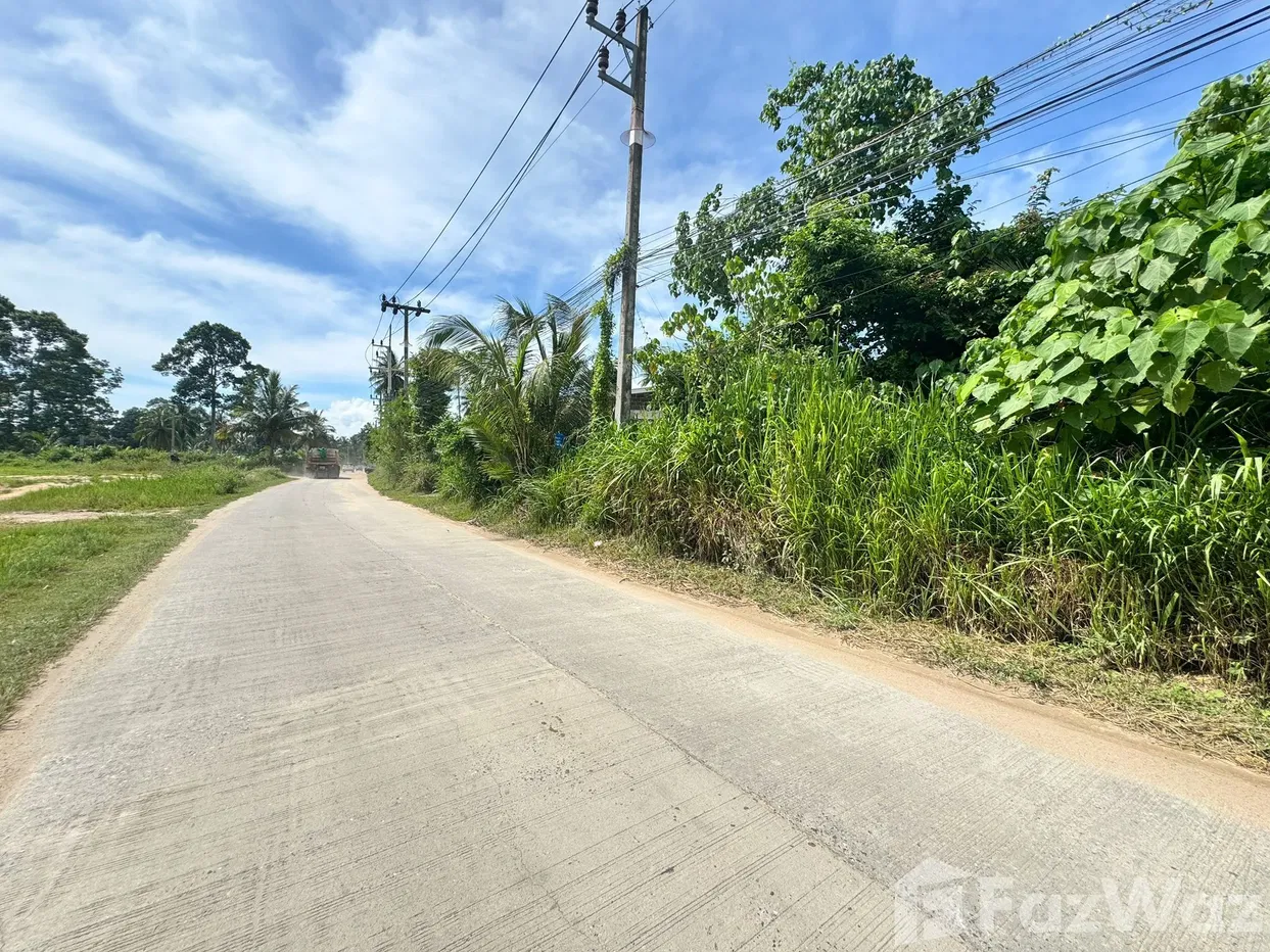 picture Land for sale in Maenam, Surat Thani - 4/16