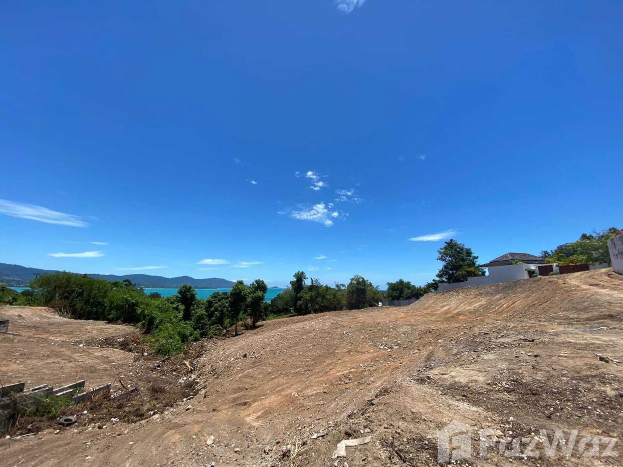 picture Land for sale in Bo Phut, Surat Thani - 8/11
