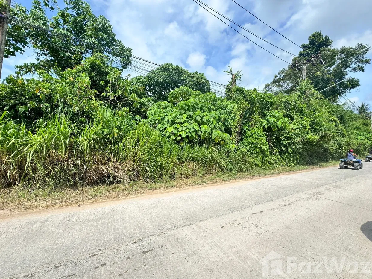 picture Land for sale in Maenam, Surat Thani - 6/16