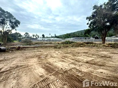 Land for sale Surat Thani : Land for sale in Maenam, Surat Thani