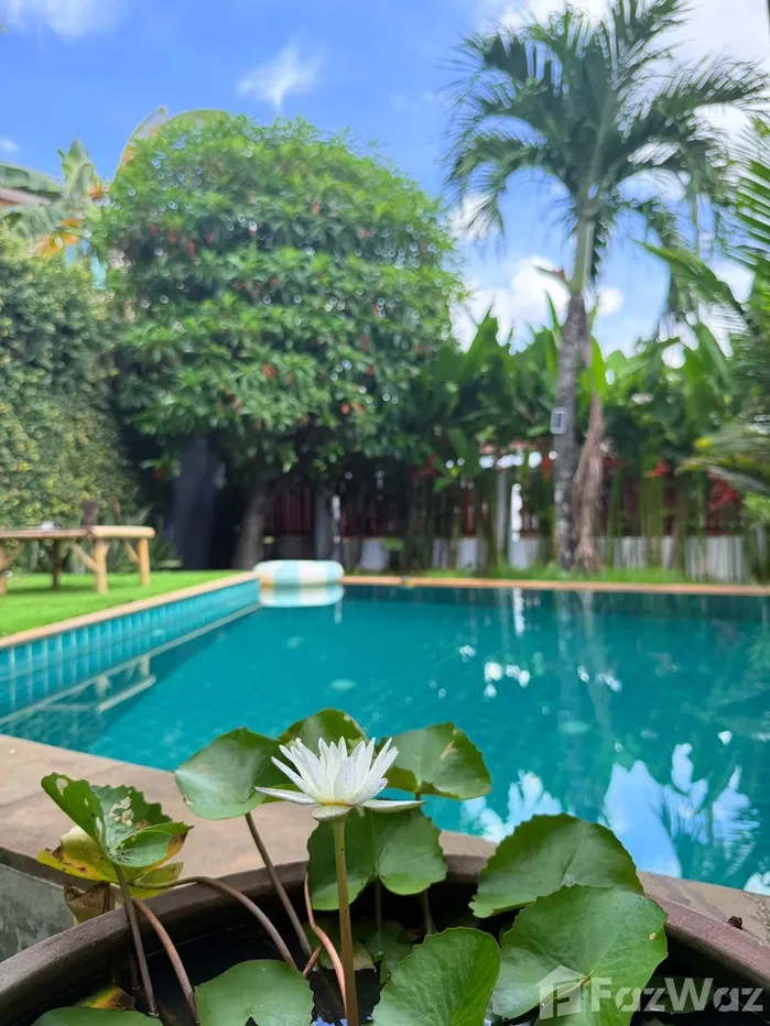 picture Your Little Paradise Awaits – Affordable Luxury in Paklok 🌴 - 9/28