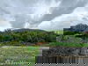 listing thumbnail image 11