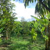 listing thumbnail image 7