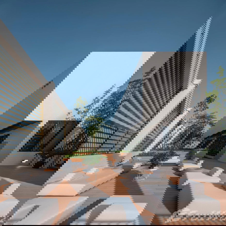 picture . 1971657 - 15/17