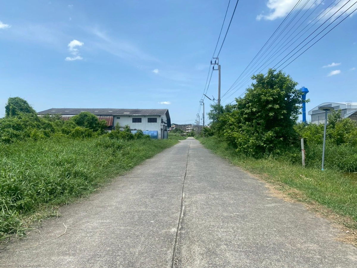 รูป ขายด่วน ที่ดินเปล่า 200 ตร.ว. หมู่บ้านปิ่นทองแลนด์ แฟคทอรี่ อ.บางบัวทอง จ.นนทบุรี ราคาดี - รูปที่ 6/8