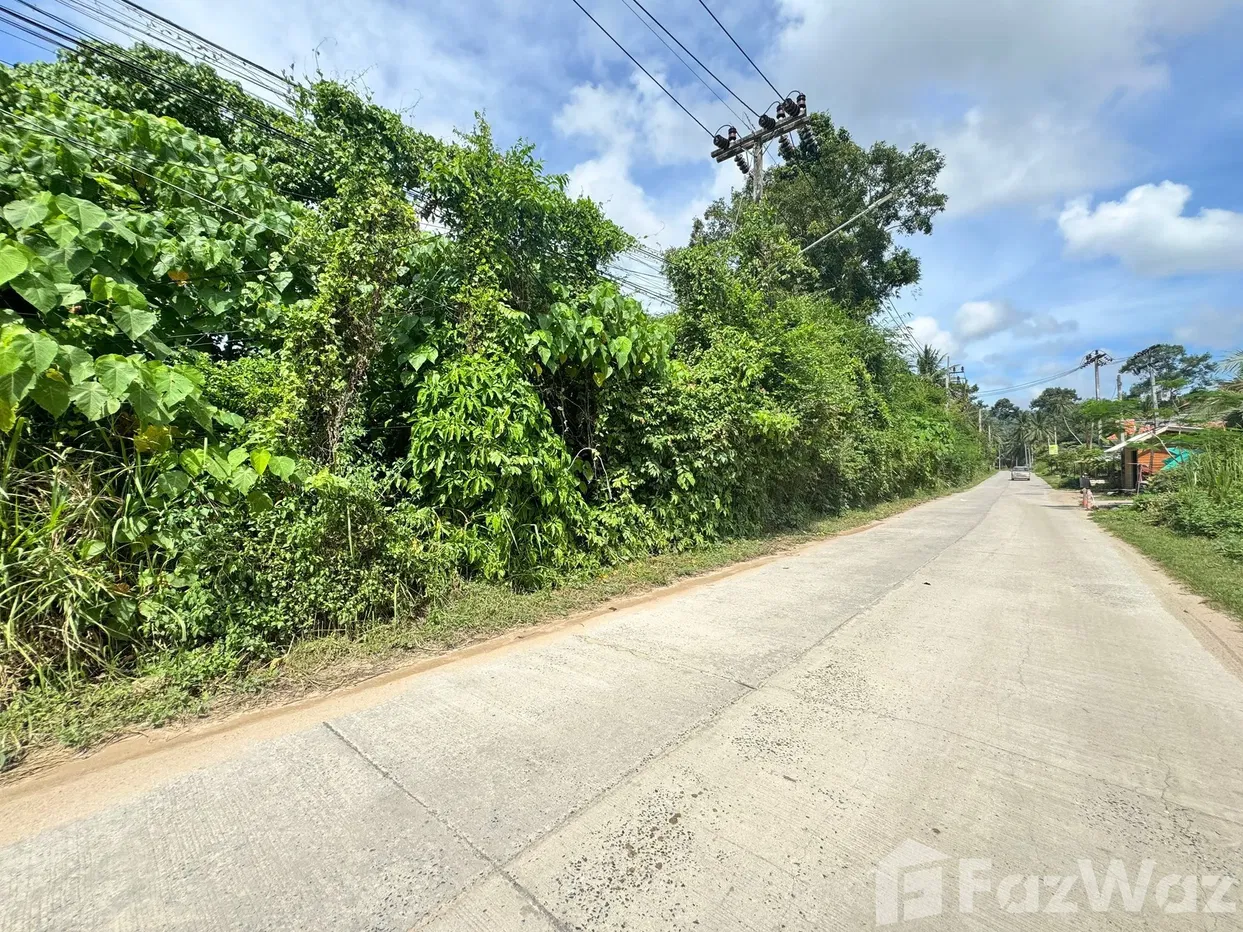 picture Land for sale in Maenam, Surat Thani - 3/16