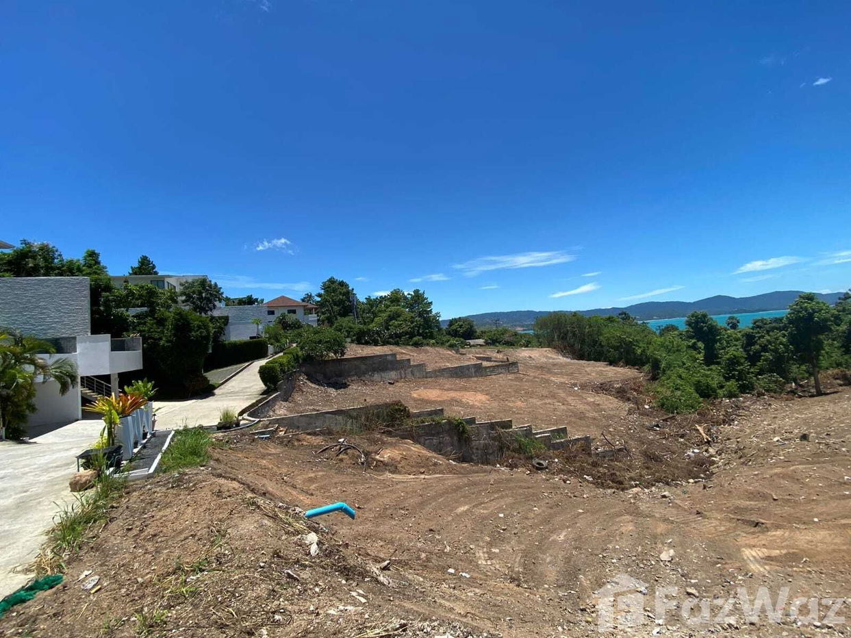 picture Land for sale in Bo Phut, Surat Thani - 9/11