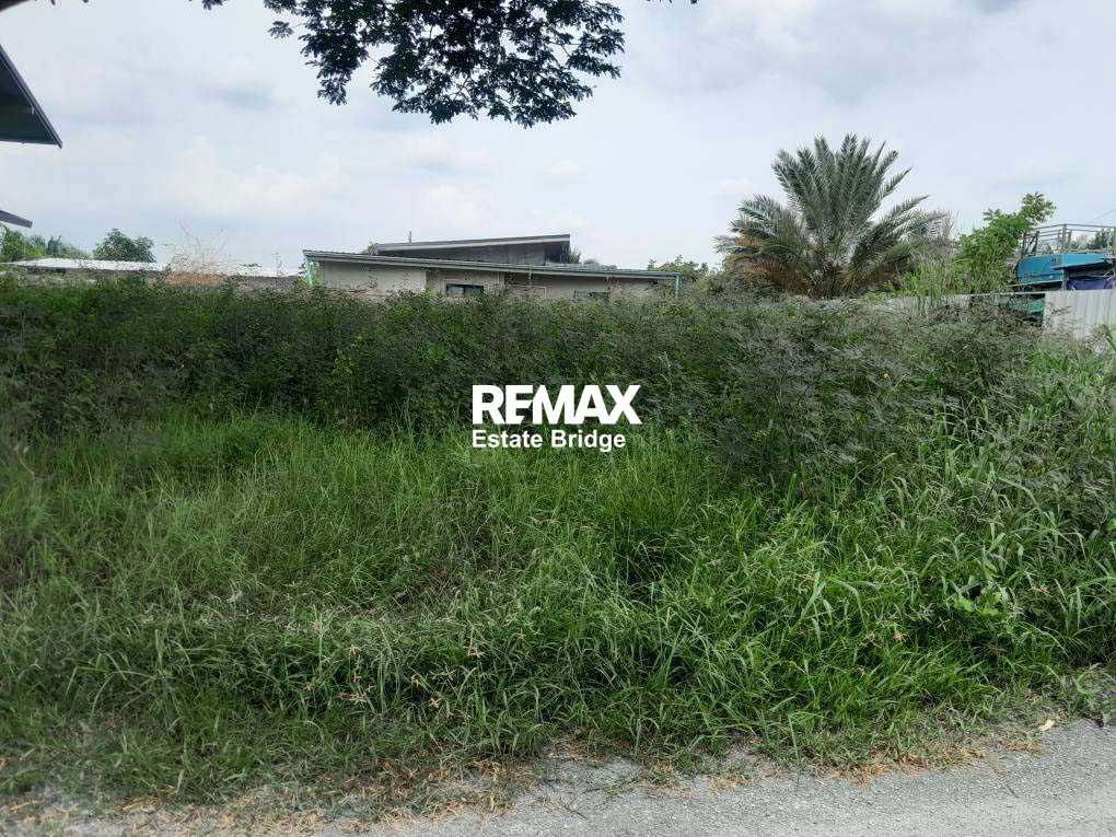 picture Land for sale, already filled - Khlong Yong, Phutthamonthon, Nakhon Pathom - 4/6