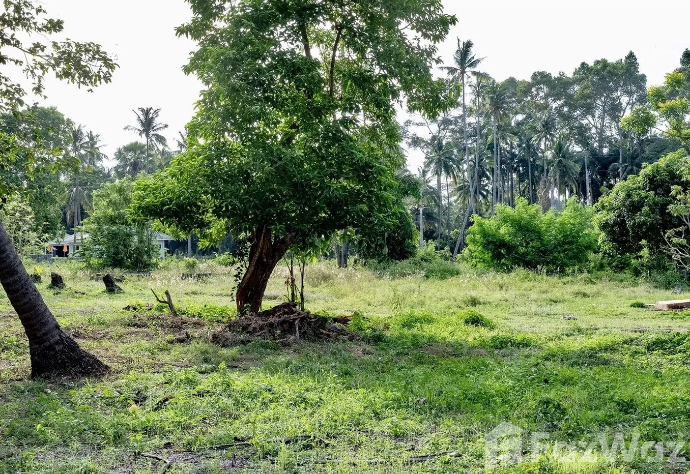 picture Land for sale in Taling Ngam, Surat Thani - 10/15