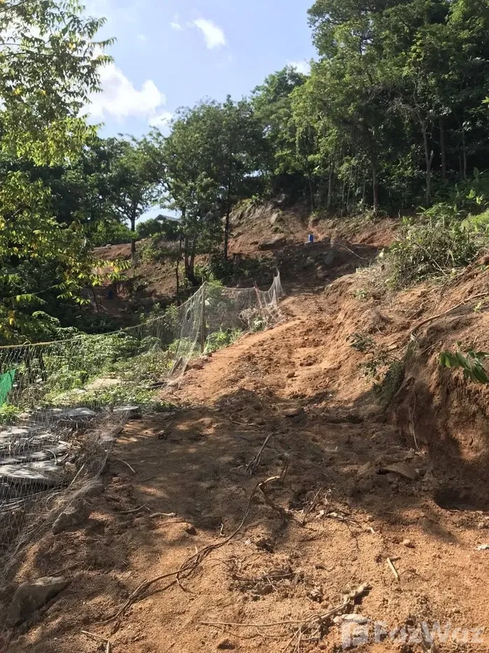 picture Land for sale in Rawai, Phuket - 1/4