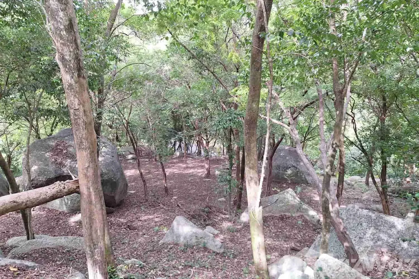picture Large Samui Sea View Plot at Santikhiri Estate (SL006) - 5/12