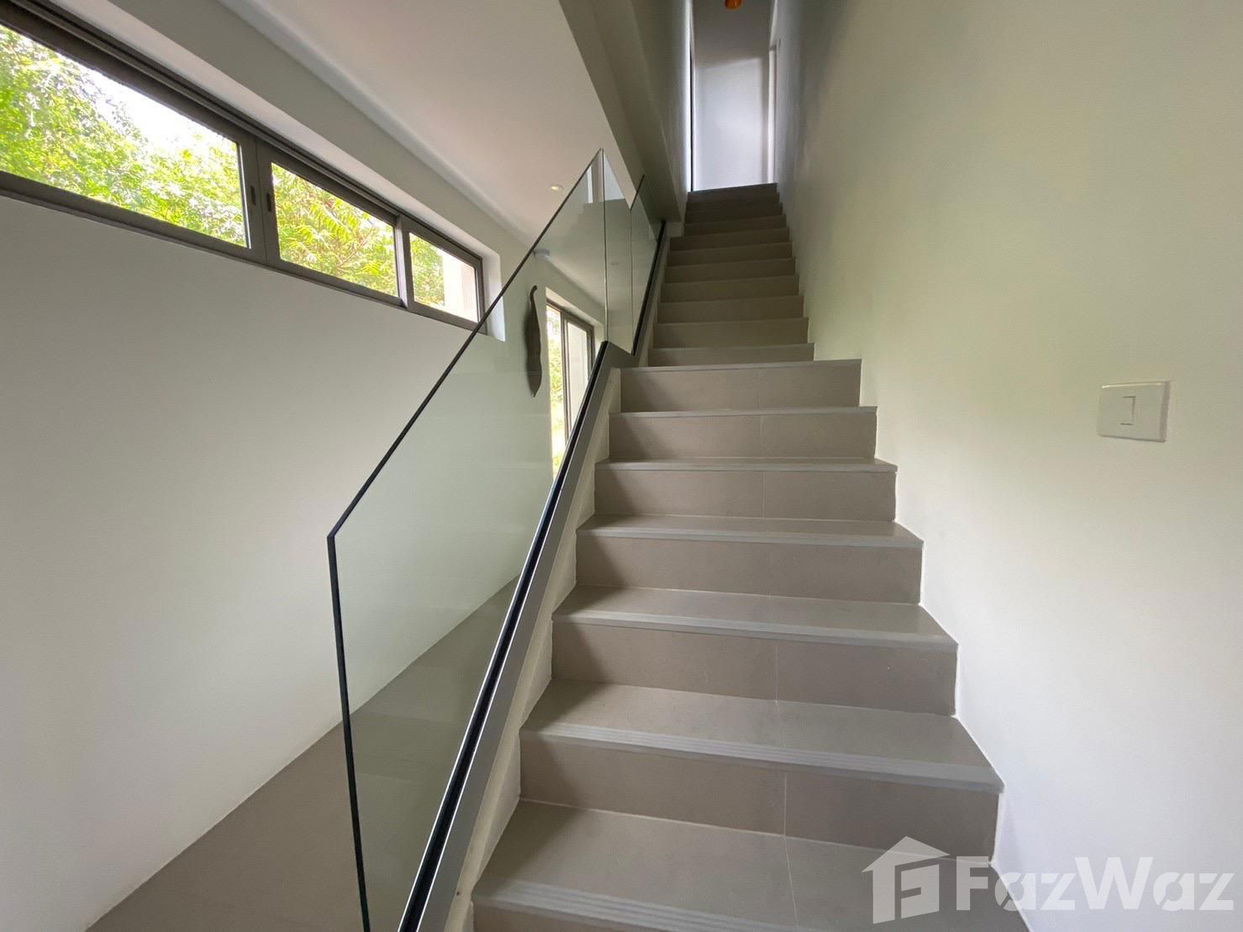 picture 6 Bedroom Villa for sale in Bo Phut, Surat Thani - 7/33