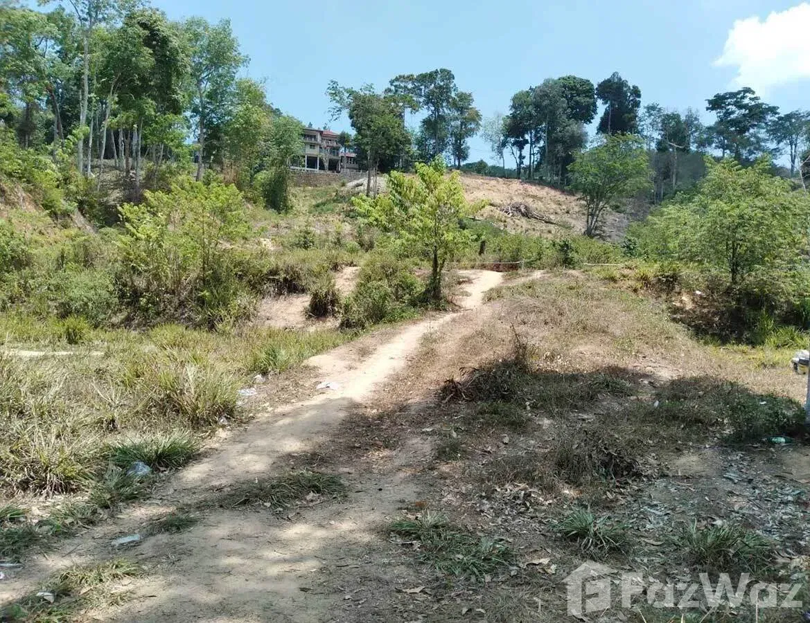 รูป ขาย ที่ดิน ใน เชิงทะเล, ภูเก็ต - รูปที่ 7/9