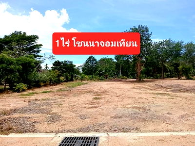 Land for sale Bang Lamung Chonburi : Land for sale, not far from Na Jomtien, near Nong Nooch Garden, Khao Chi Chan