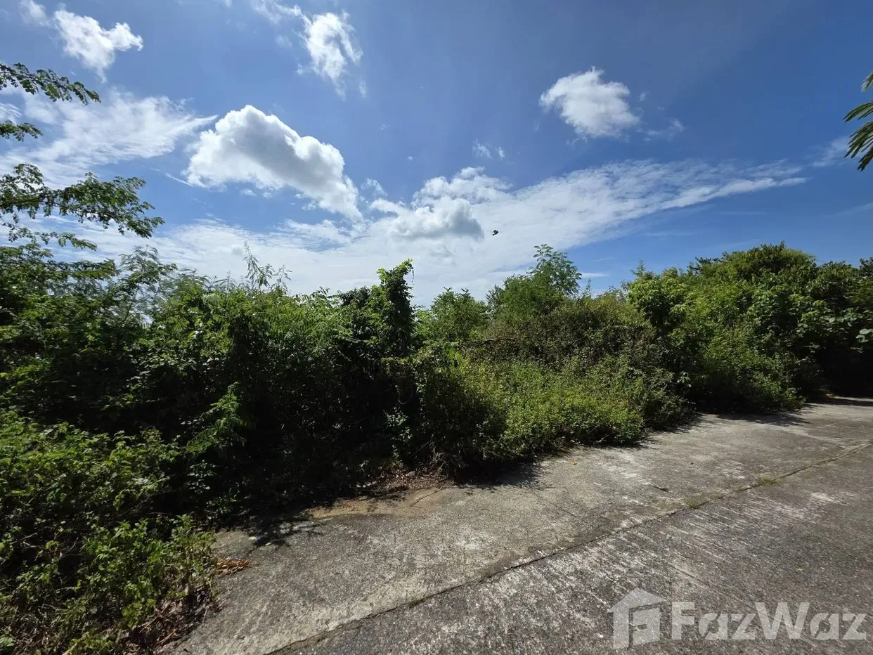 รูป ขาย ที่ดิน ใน บ่อผุด, สุราษฎร์ธานี - รูปที่ 9/9