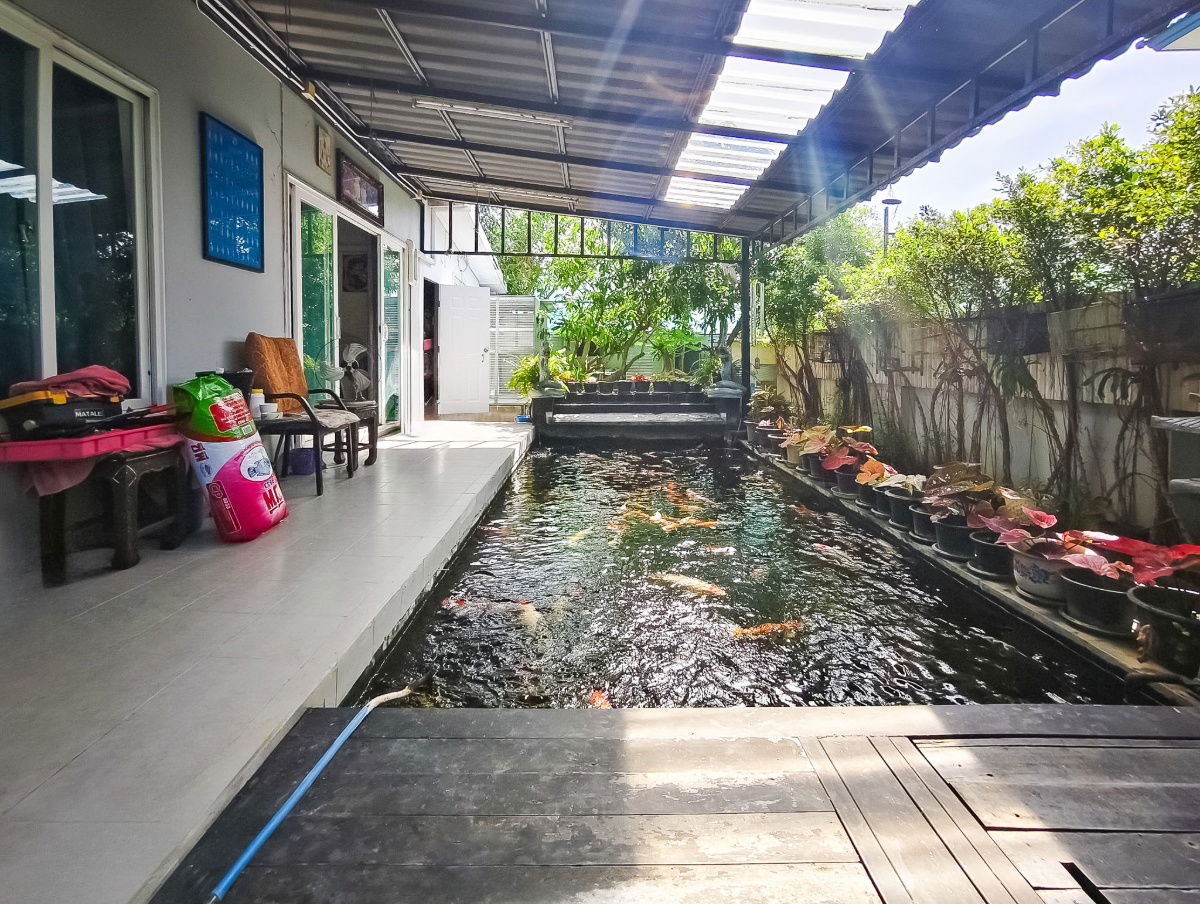 รูป 🏡 บ้านเดี่ยว 2 ชั้น "ซื่อตรง พรีเมี่ยม ไอแอม พระราม 2 - แสมดำ" เพียง 6.99 ล้าน - รูปที่ 6/12