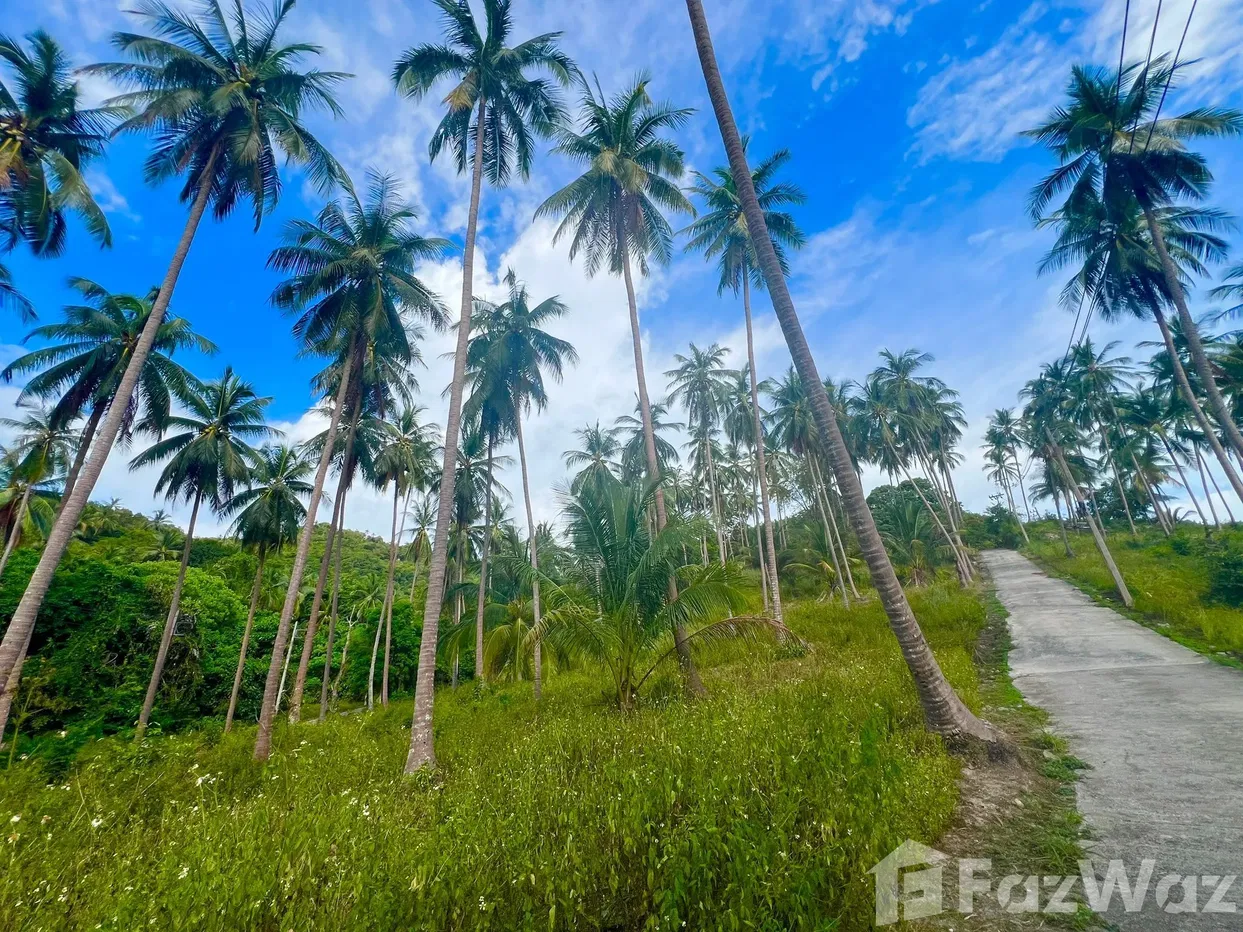 picture Land for sale in Taling Ngam, Surat Thani - 4/18