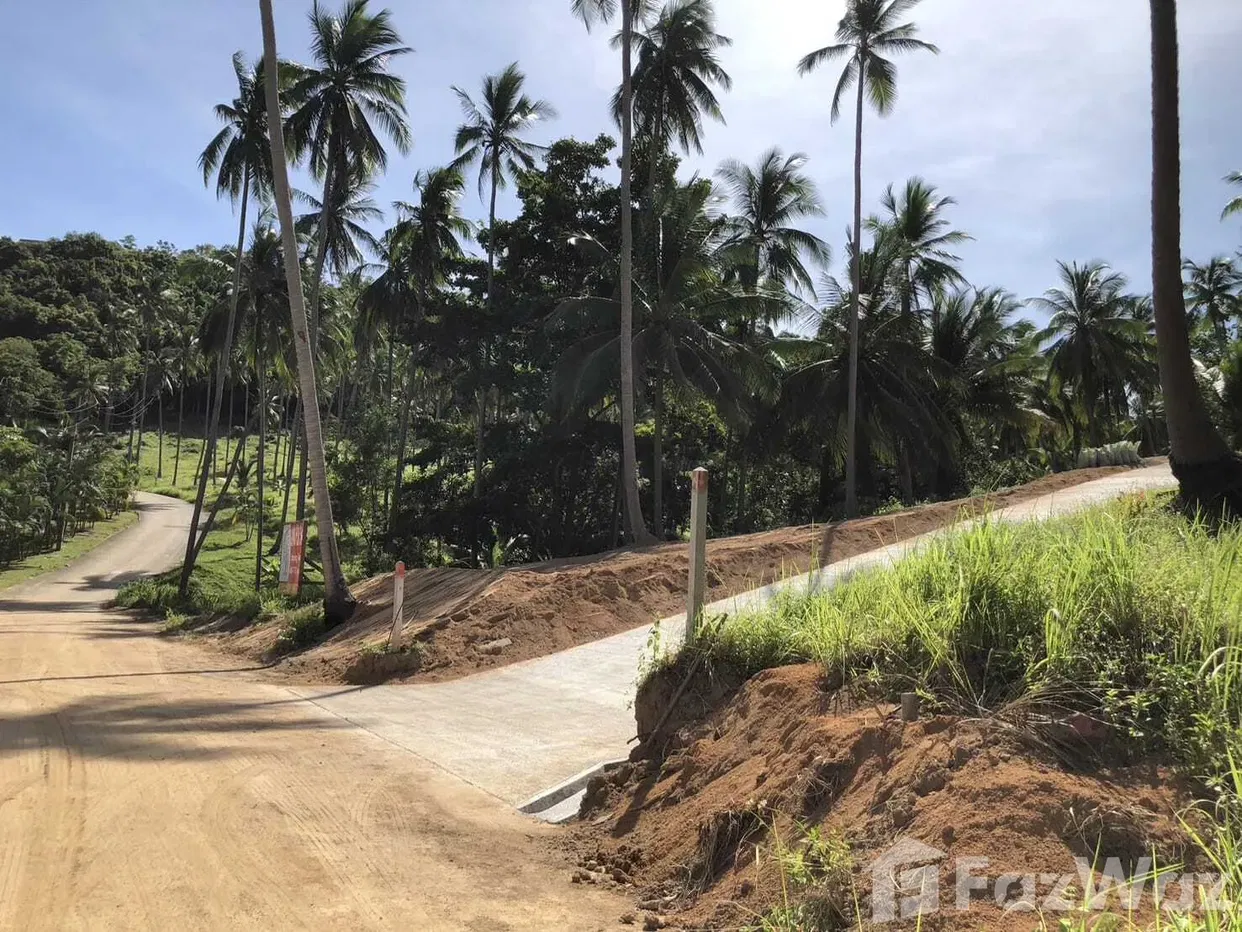 รูป ขาย ที่ดิน ใน แม่น้ำ, สุราษฎร์ธานี - รูปที่ 3/5