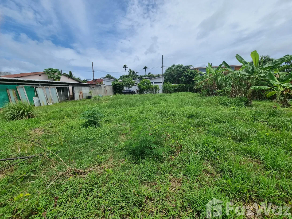 picture Land for sale in Choeng Thale, Phuket - 4/8