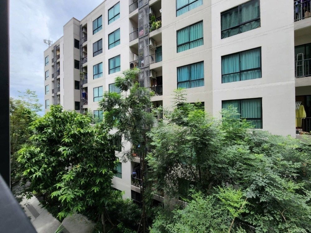 picture Lesto Condo Sukhumvit         113 - 12/13