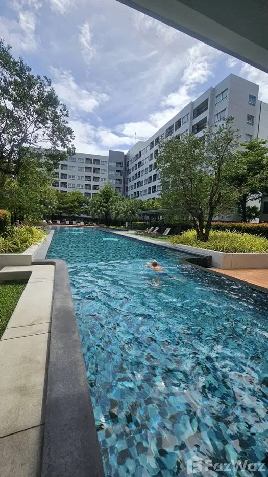picture 2 Bedroom For Rent At Elio Del Ray - 14/15