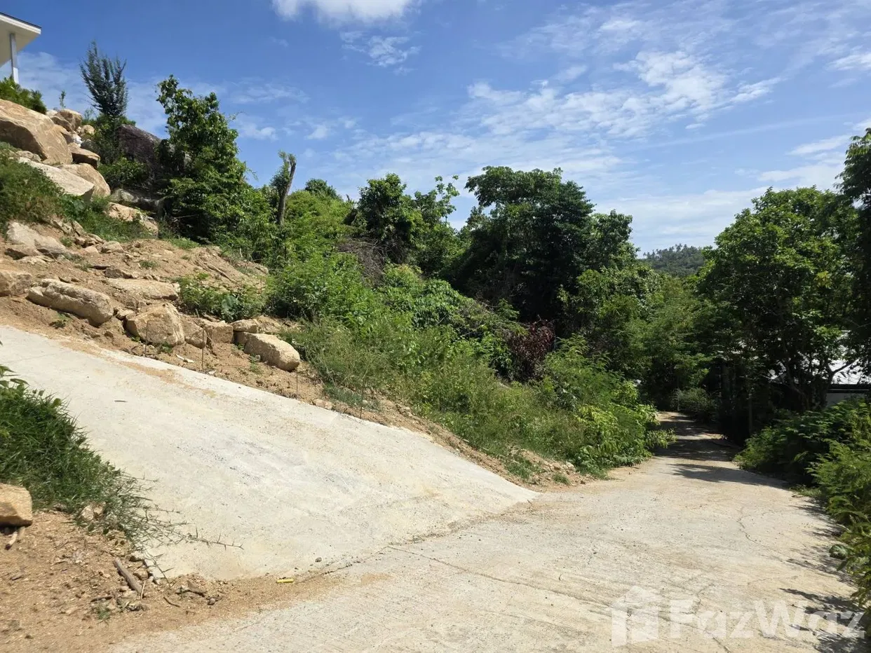 รูป ขาย ที่ดิน ใน บ่อผุด, สุราษฎร์ธานี - รูปที่ 7/9