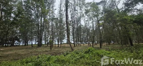 ขาย ที่ดิน ใน ไม้ขาว, ภูเก็ต