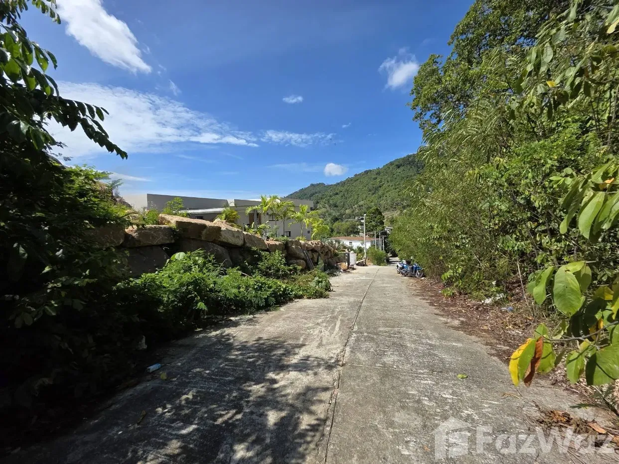 รูป ขาย ที่ดิน ใน บ่อผุด, สุราษฎร์ธานี - รูปที่ 8/9