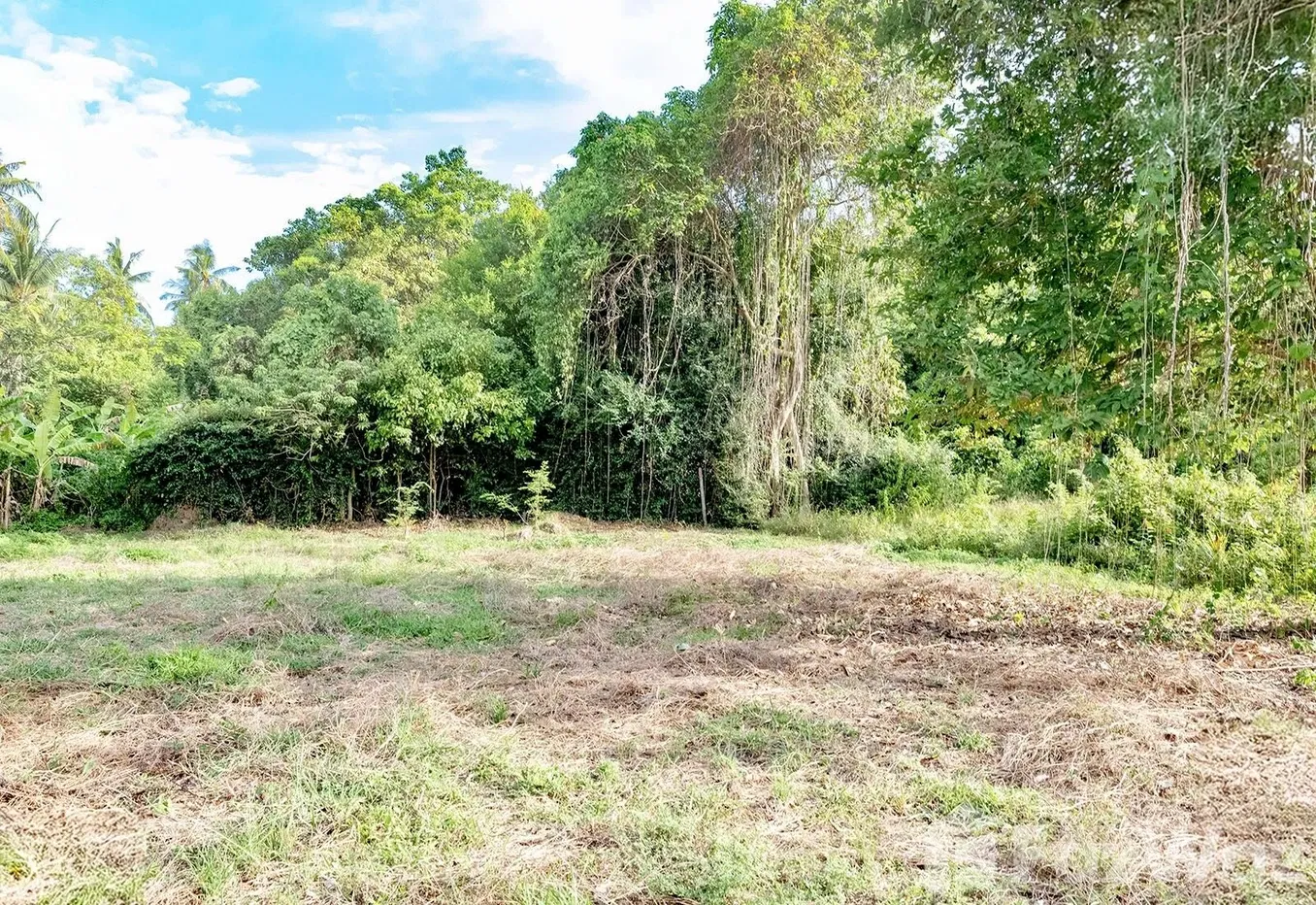 picture Land for sale in Taling Ngam, Surat Thani - 5/15