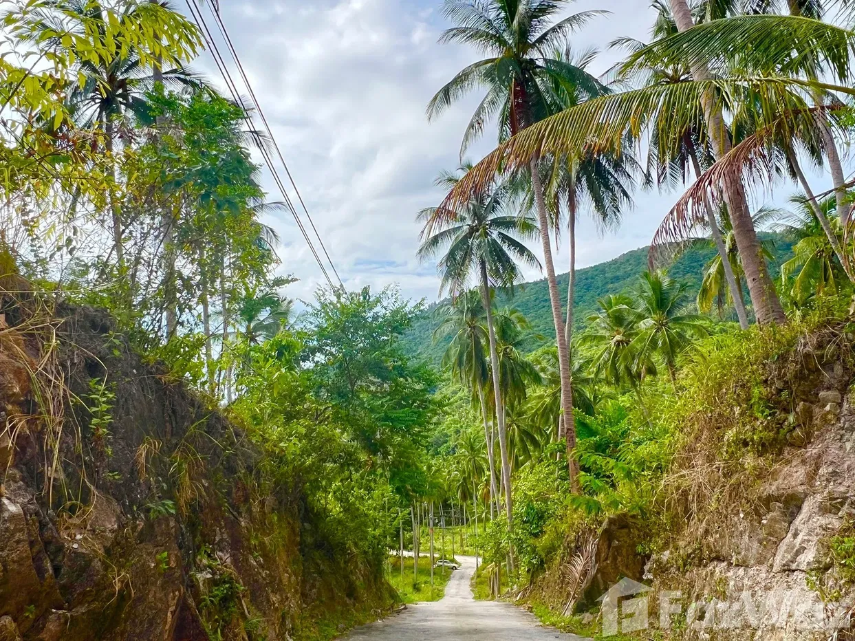 picture Land for sale in Taling Ngam, Surat Thani - 10/18