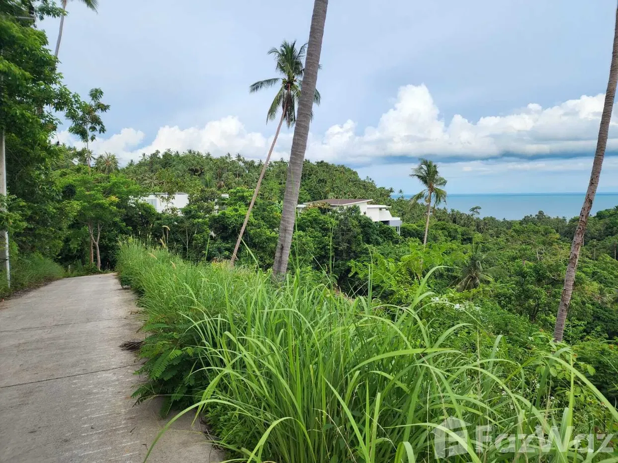 รูป ขาย ที่ดิน ใน มะเร็ต, สุราษฎร์ธานี - รูปที่ 3/9