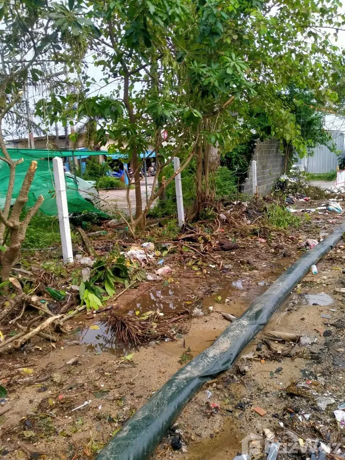 picture Land for sale in Bo Phut, Surat Thani - 2/6