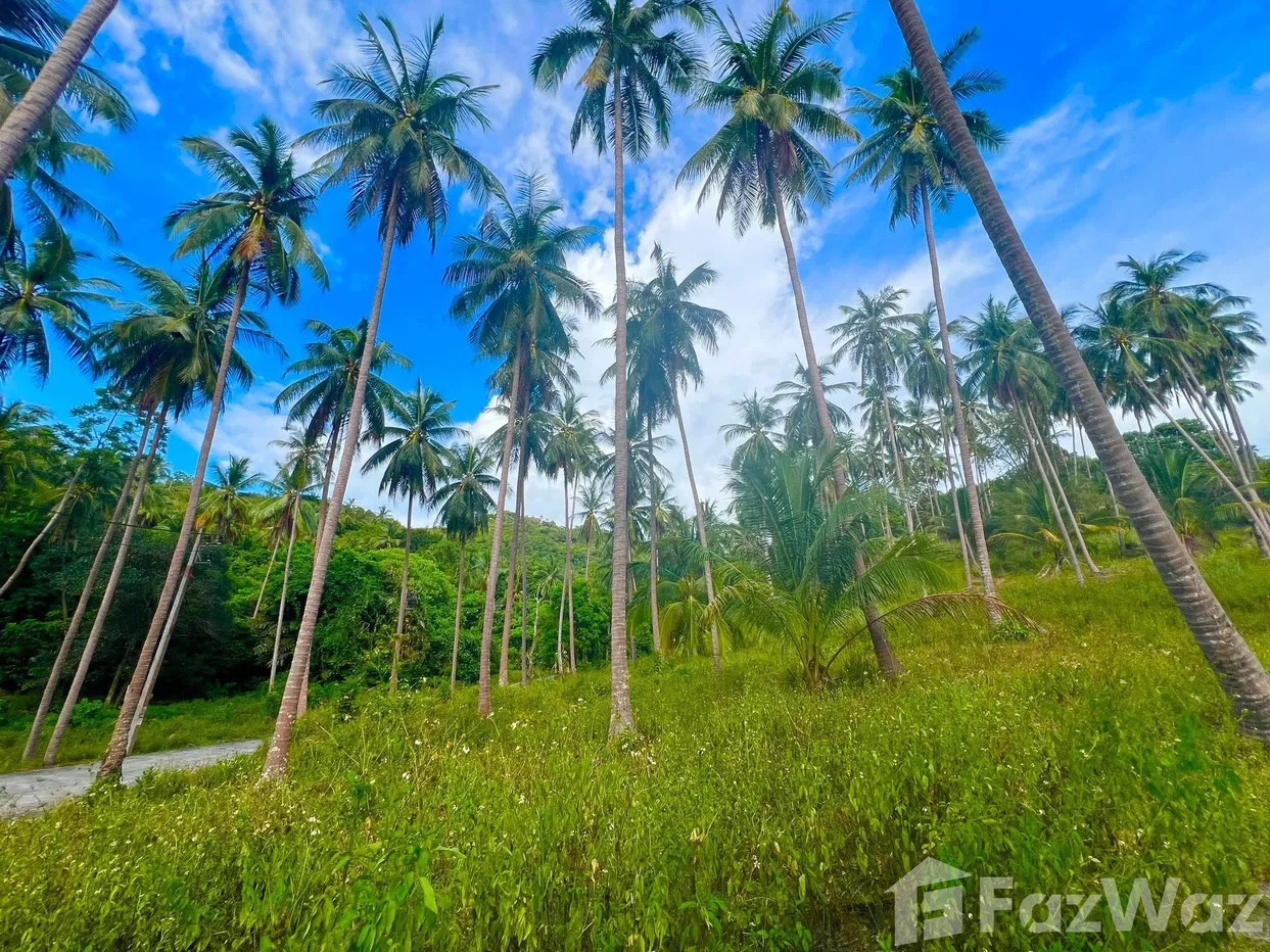 picture Land for sale in Taling Ngam, Surat Thani - 5/18
