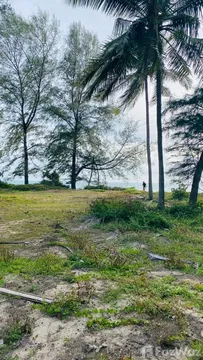 Land for sale in Mai Khao, Phuket