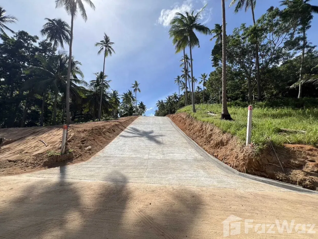 รูป ขาย ที่ดิน ใน แม่น้ำ, สุราษฎร์ธานี - รูปที่ 4/5