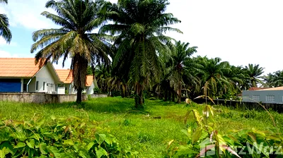 Land for rent Phuket : Land for rent in Si Sunthon, Phuket