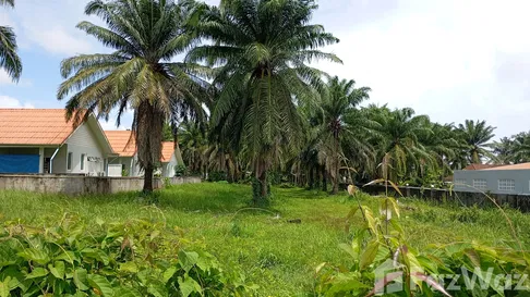 Land for rent in Si Sunthon, Phuket