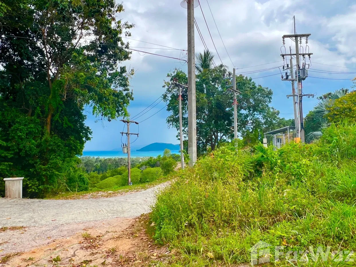 picture Land for sale in Taling Ngam, Surat Thani - 11/18