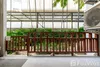 listing thumbnail image 8