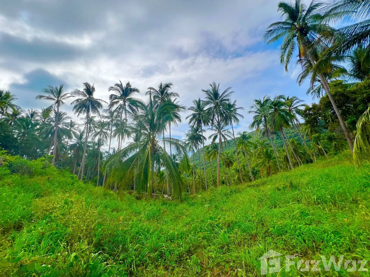 picture Land for sale in Taling Ngam, Surat Thani - 13/18
