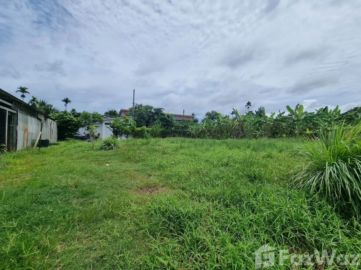 picture Land for sale in Choeng Thale, Phuket - 7/8