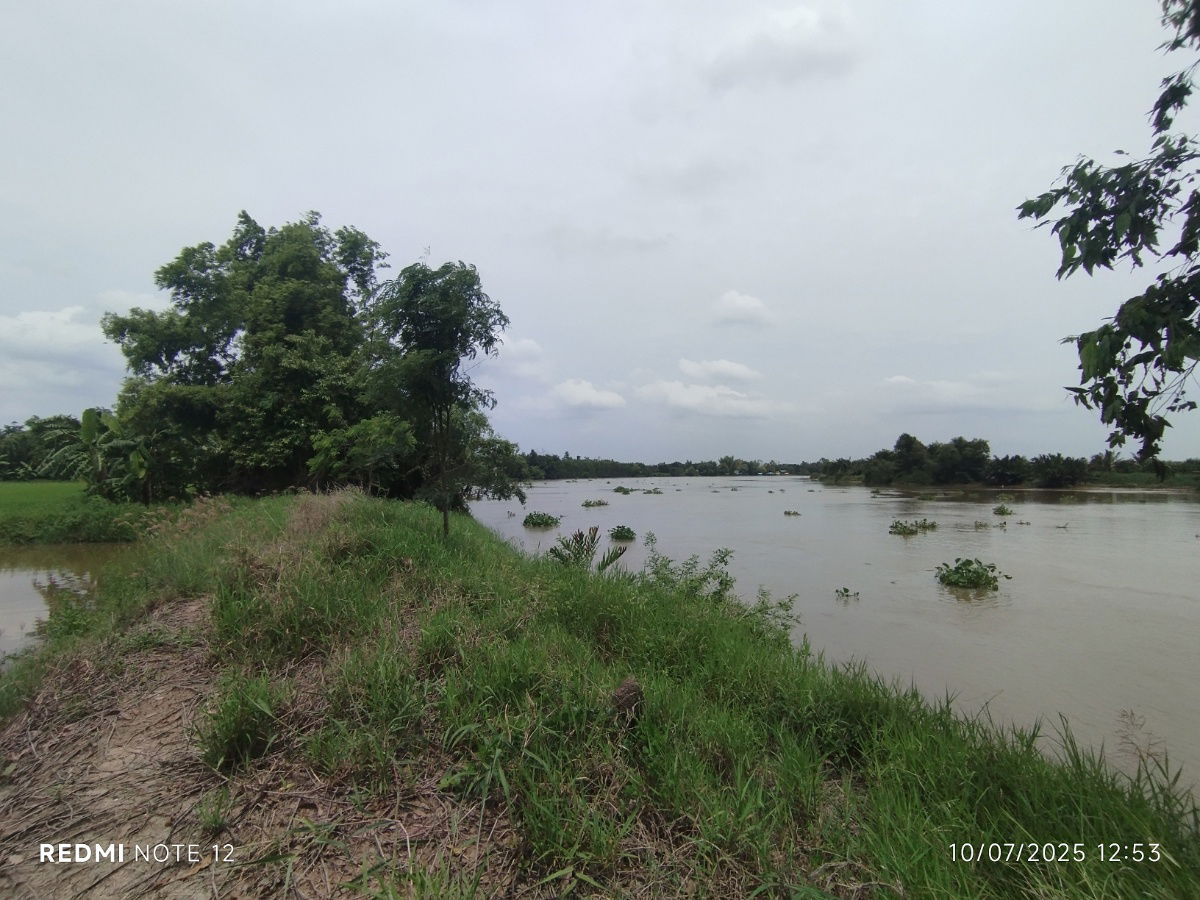 picture 🌊Premium riverside land in BangPakong, 30+rai, ONLY1plot, BangKhla, next to the main road+river, beautiful view, potential for various developments - 6/14