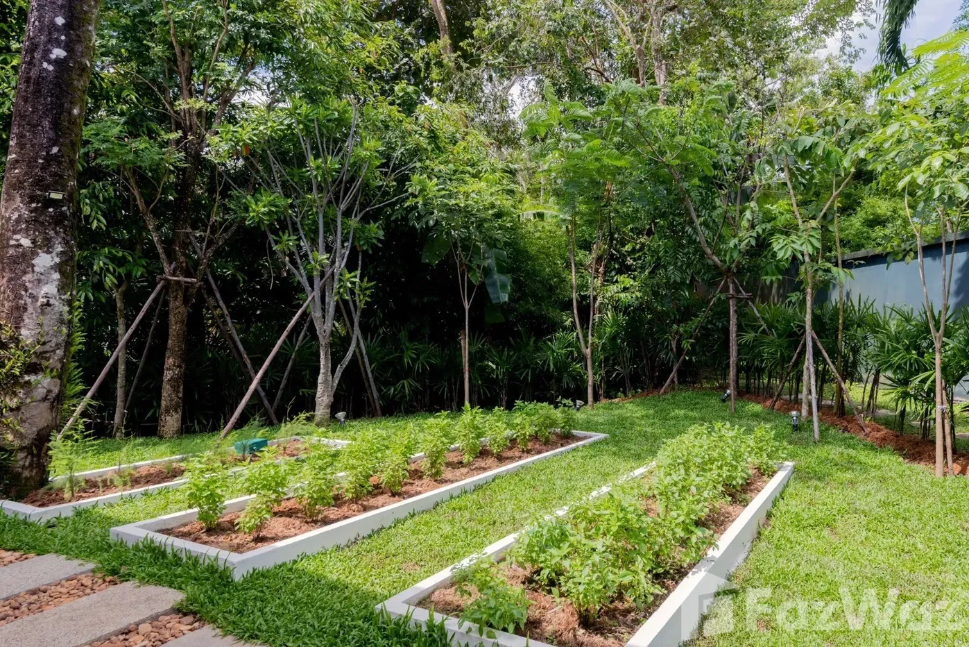 รูป ขาย วิลล่า 3 ห้องนอน ในโครงการ ตรีสรา - รูปที่ 22/84