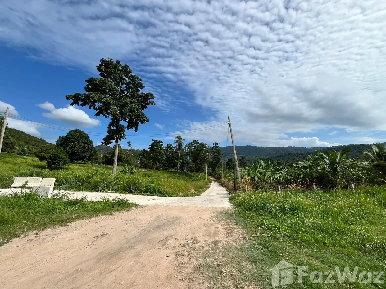 picture Land for sale in Bo Phut, Surat Thani - 5/5