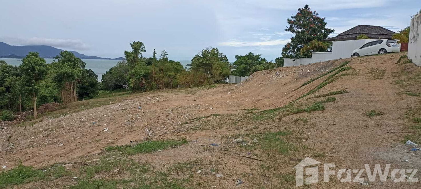 picture Land for sale in Bo Phut, Surat Thani - 7/11