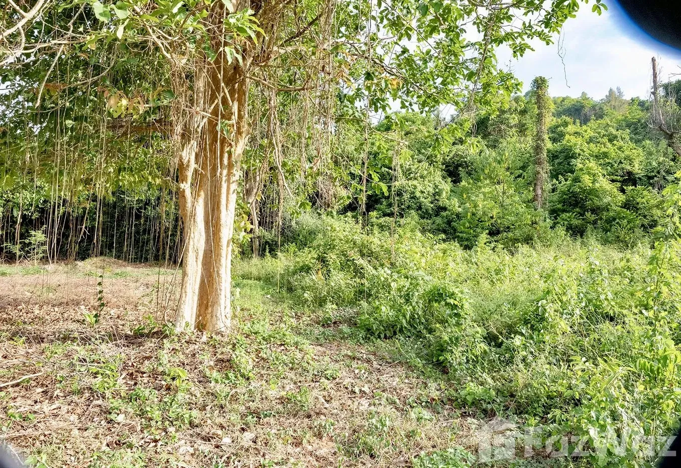 picture Land for sale in Taling Ngam, Surat Thani - 14/15